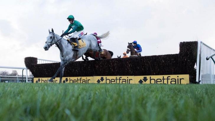 Bristol De Mai clears a fence in the Betfair Chase